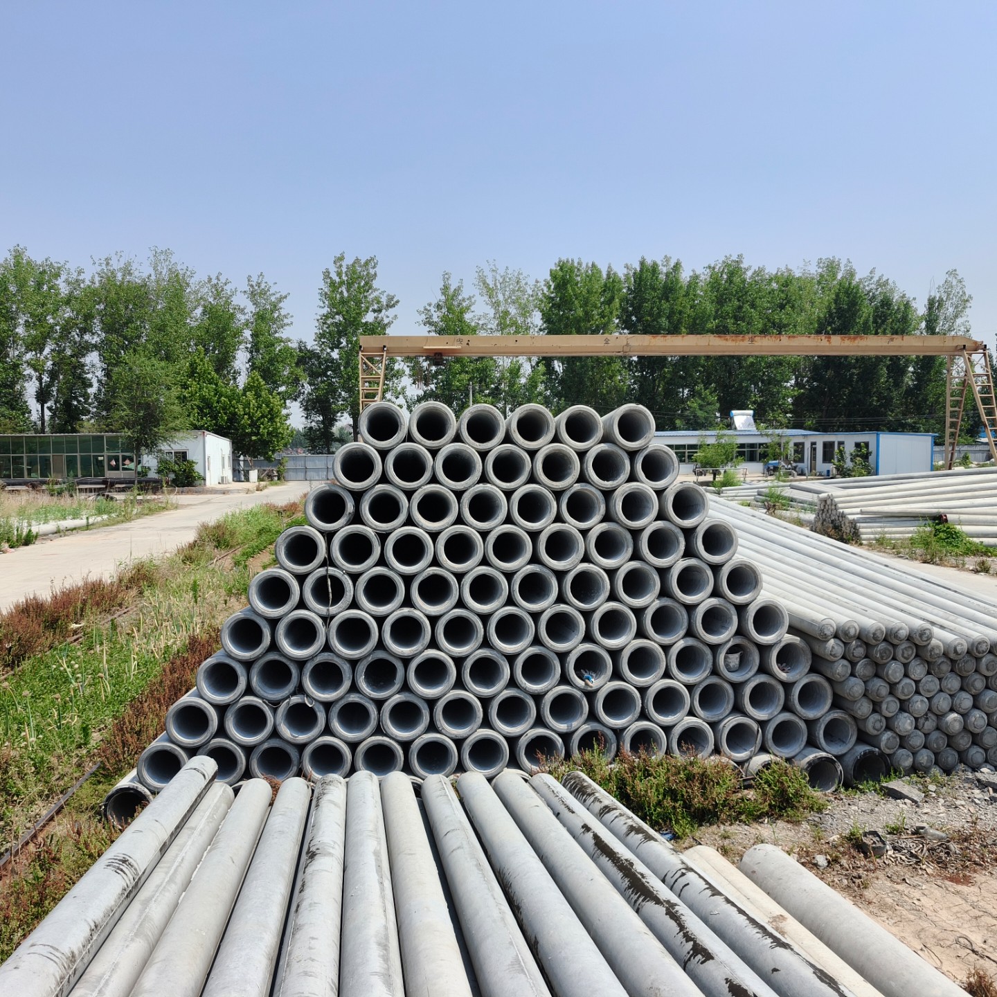 平阳190×10米水泥电线杆